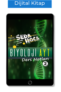 Seda Hoca Biyoloji AYT Ders Notları-2-Dijital Kitap