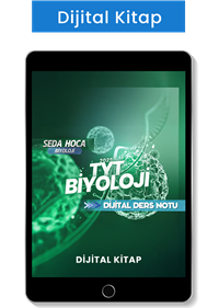 Seda Hoca Biyoloji TYT Ders Notları-Dijital Kitap